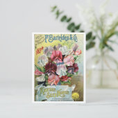  zaadadvertentie briefkaart (Staand voorkant)