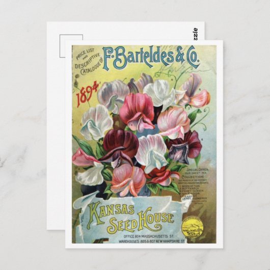  zaadadvertentie briefkaart (Voorkant / Achterkant)