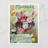  zaadadvertentie briefkaart (Voorkant)