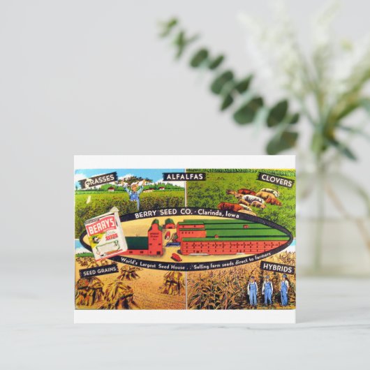  zaadadvertentie briefkaart (Staand voorkant)