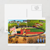  zaadadvertentie briefkaart (Voorkant / Achterkant)