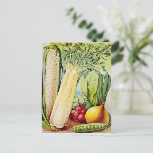 zaadadvertentie briefkaart (Staand voorkant)