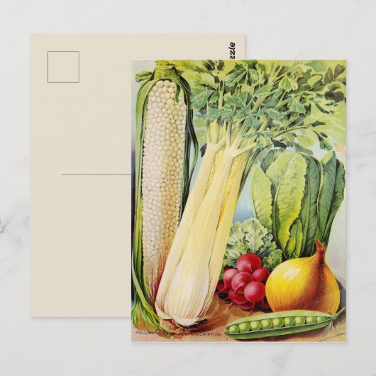  zaadadvertentie briefkaart (Voorkant / Achterkant)