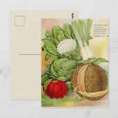  zaadadvertentie briefkaart (Voorkant / Achterkant)