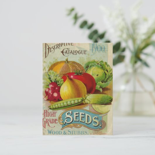  zaadadvertentie briefkaart (Staand voorkant)