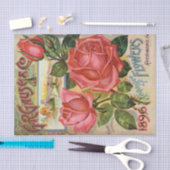  zaadcatalogus 1896 G.R. Gauze Tissuepapier (Craft)