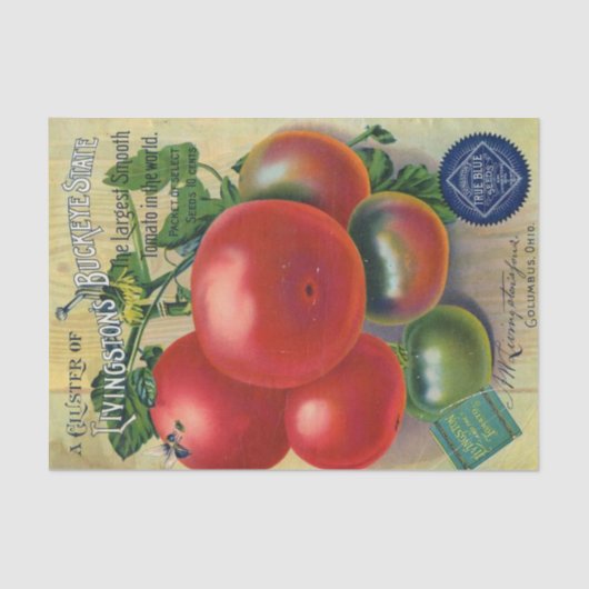  zaadcatalogus, Buckeye staat Livingston Tissuepapier (Voorkant)