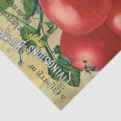  zaadcatalogus, Buckeye staat Livingston Tissuepapier (Detail)