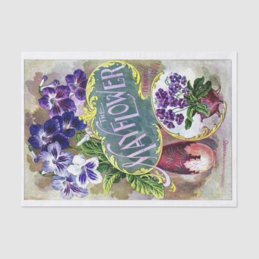  zaadcatalogus, de Mayflower Tissuepapier (Voorkant)