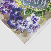  zaadcatalogus, de Mayflower Tissuepapier (Detail)