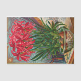  zaadcatalogus De zwarte Mexicaanse Lily Tissuepapier