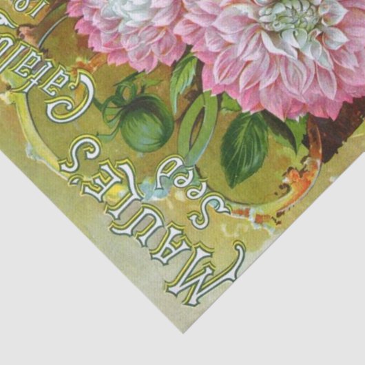  zaadcatalogus, Maule's 1894 Tissuepapier (Detail)