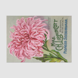  zaadcatalogus mevrouw Lippincott Flowers Tissuepapier