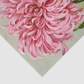  zaadcatalogus mevrouw Lippincott Flowers Tissuepapier (Detail)
