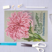  zaadcatalogus mevrouw Lippincott Flowers Tissuepapier (Craft)
