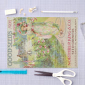  zaadcatalogus Northrup 1900 Tissuepapier (Craft)