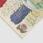zaadcatalogus, oude glorie, hyacinten tissuepapier (Detail)