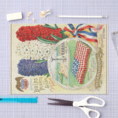 zaadcatalogus, oude glorie, hyacinten tissuepapier (Craft)