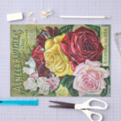  zaadcatalogusbroers, Rozen, 1898 Tissuepapier (Craft)