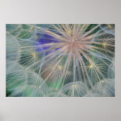 Zaadkopontwerp | Gennesse, Idaho Poster (Voorkant)