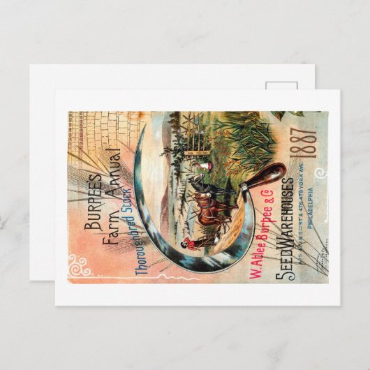  zaadpakket. briefkaart (Voorkant / Achterkant)