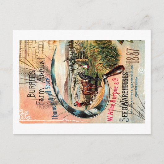  zaadpakket. briefkaart (Voorkant)