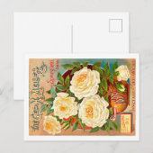  zaadpakket. briefkaart (Voorkant / Achterkant)