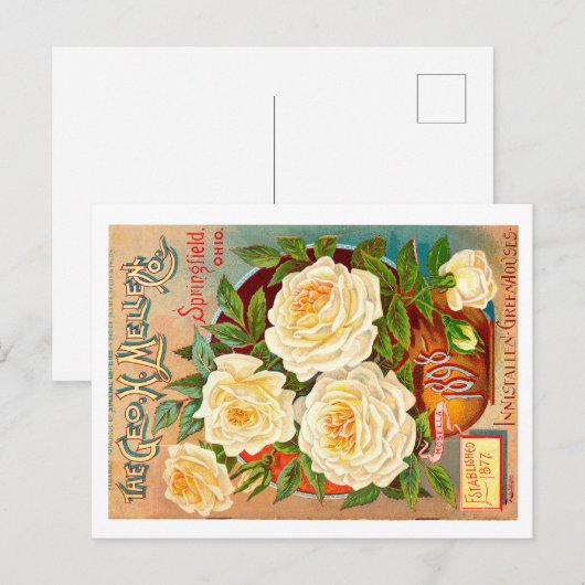  zaadpakket. briefkaart (Voorkant / Achterkant)