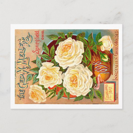 zaadpakket. briefkaart (Voorkant)