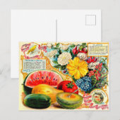  zaadpakket. briefkaart (Voorkant / Achterkant)