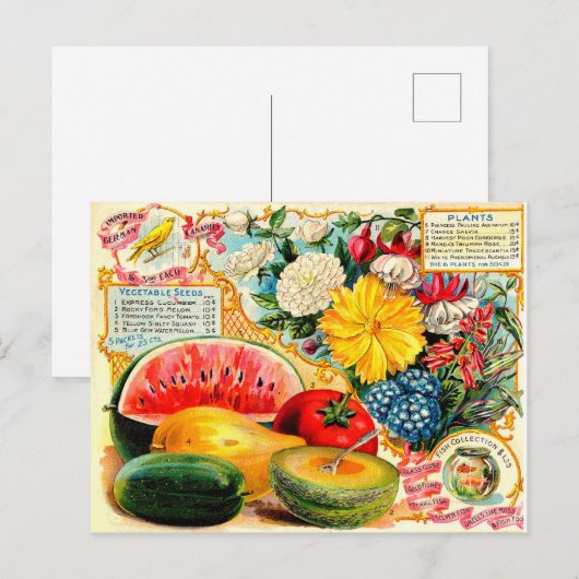  zaadpakket. briefkaart (Voorkant / Achterkant)