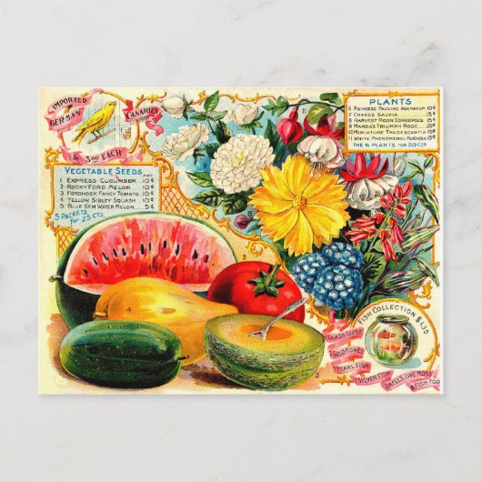  zaadpakket. briefkaart (Voorkant)