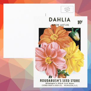  zaadpakketkunst, Dahlia Garden Flowers Briefkaart