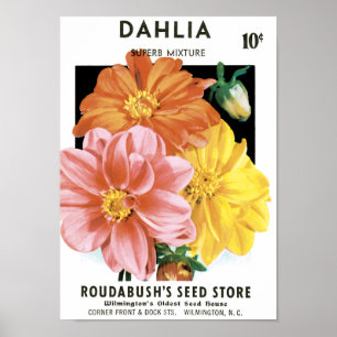 zaadpakketkunst, Dahlia Garden Flowers Poster