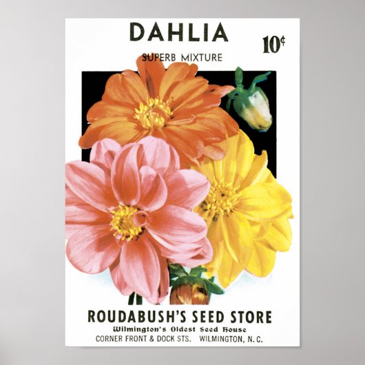  zaadpakketkunst, Dahlia Garden Flowers Poster (Voorkant)