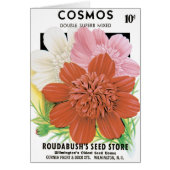  zaadpakketkunst, kosmos tuinbloemen (Voorkant)