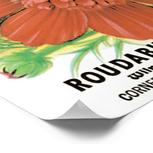  zaadpakketkunst, kosmos tuinbloemen poster (Hoek)