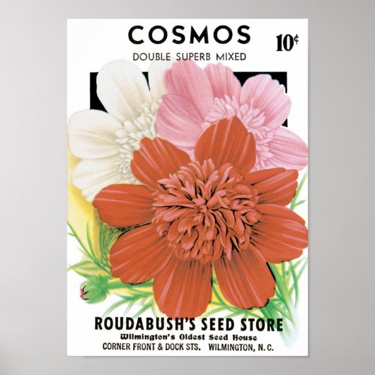  zaadpakketkunst, kosmos tuinbloemen poster (Voorkant)