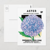  zaadpakketkunst, Paarse asterbloemen Briefkaart (Voorkant / Achterkant)