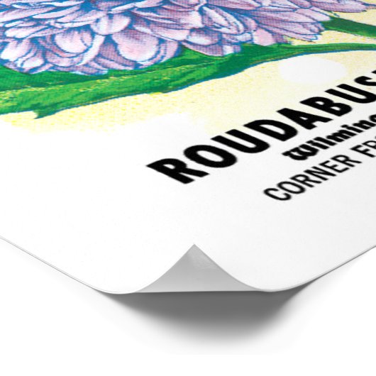 zaadpakketkunst, Paarse asterbloemen Poster (Hoek)