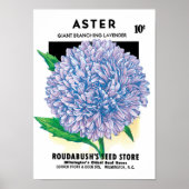 zaadpakketkunst, Paarse asterbloemen Poster (Voorkant)