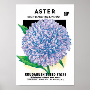 zaadpakketkunst, Paarse asterbloemen Poster