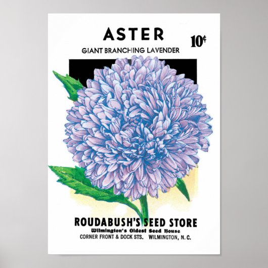  zaadpakketkunst, Paarse asterbloemen Poster (Voorkant)