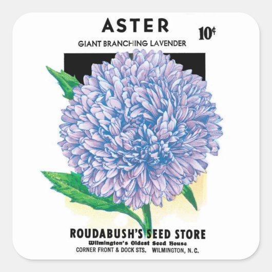  zaadpakketkunst, Paarse asterbloemen Vierkante Sticker (Voorkant)