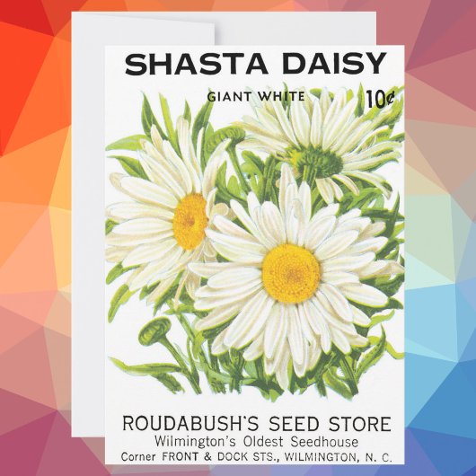 zaadpakketkunst, Shasta Daisy Flowers