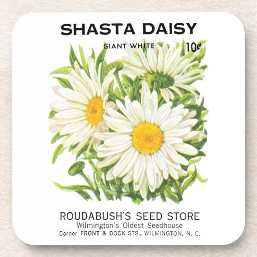  zaadpakketkunst, Shasta Daisy Flowers Bier Onderzetter (Voorkant)