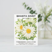 zaadpakketkunst, Shasta Daisy Flowers Briefkaart (Staand voorkant)