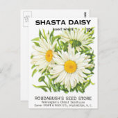 zaadpakketkunst, Shasta Daisy Flowers Briefkaart (Voorkant / Achterkant)
