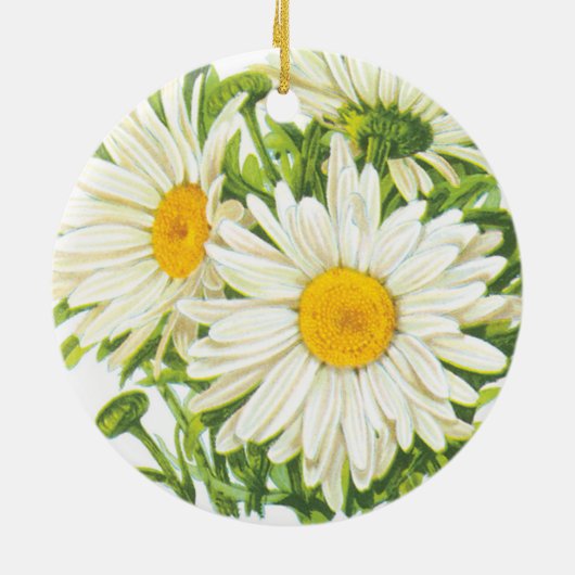  zaadpakketkunst, Shasta Daisy Flowers Keramisch Ornament (Achterkant)