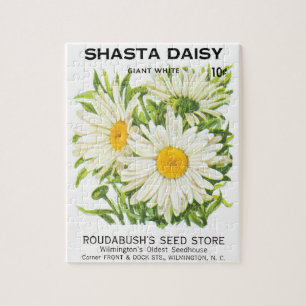  zaadpakketkunst, Shasta Daisy Flowers Legpuzzel